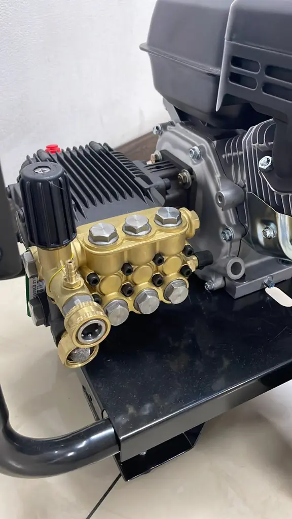 WhatsApp Image 2026-01-19 at 7.40.50 AM (2).webp