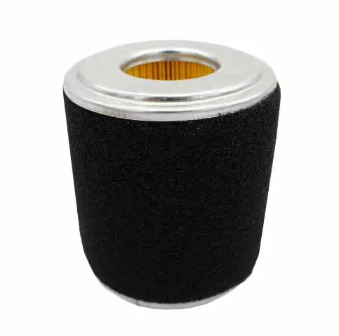 FILTRO AIRE (GNC)