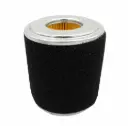 FILTRO AIRE (GNC)