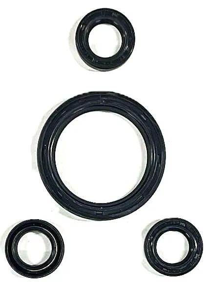 KIT SELLOS ACEITE RCV