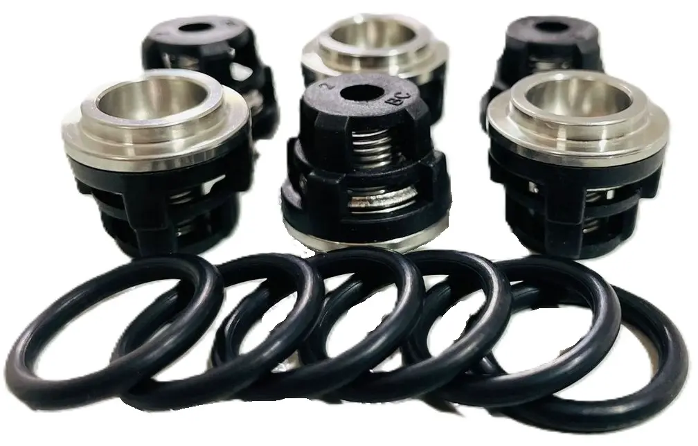 KIT VALVULAS CHECK HIDROLAVADORA DANAU DBC