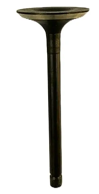 VALVULA ESCAPE 456CC GH10000E