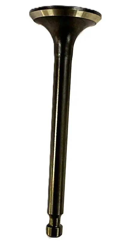 VALVULA ESCAPE GX240 GX270