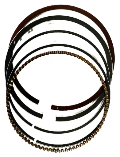 [018-01-263] ANILLOS STD