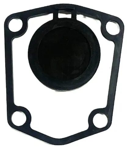 [025-01-723] EMPAQUE TOMA SUCCION CHECK 2" WP50