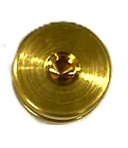 [313-01-016] EXCENTRICA HIDROLAVADORA XJVW