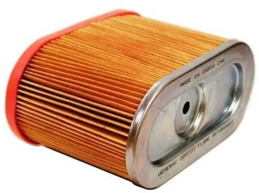 [013-01-361] FILTRO AIRE (GNC)