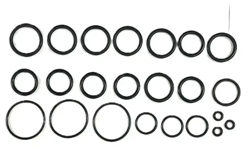 [106-01-216] KIT ORINGS HIDROLAVADORA