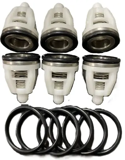 [106-01-219] KIT VALVULAS CHECK