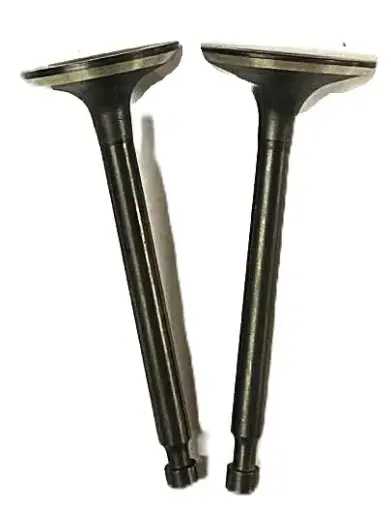 [109-01-243] SET VALVULA ADMISION Y ESCAPE