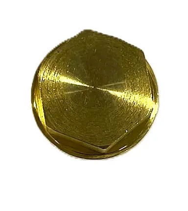 [119-01-270] TORNILLO HIDROLAVADORA