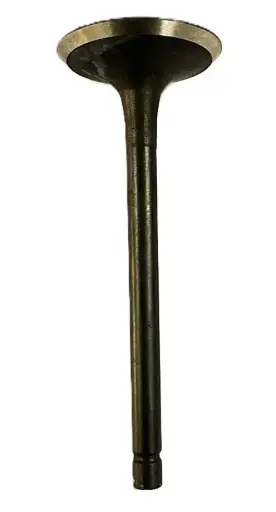 [113-01-048] VALVULA ADMISION 456CC GH10000E