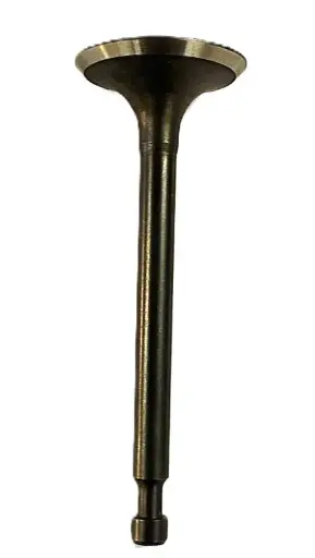 [113-01-057] VALVULA ADMISION (GDE)