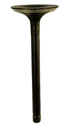 [114-01-033] VALVULA ESCAPE 456CC GH10000E