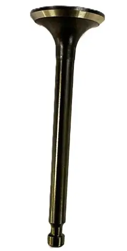 [114-01-007] VALVULA ESCAPE